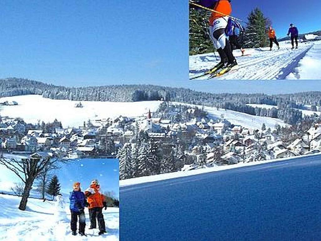 Appartmentvermietung Terrassenpark Schonach Schonach im Schwarzwald Bagian luar foto