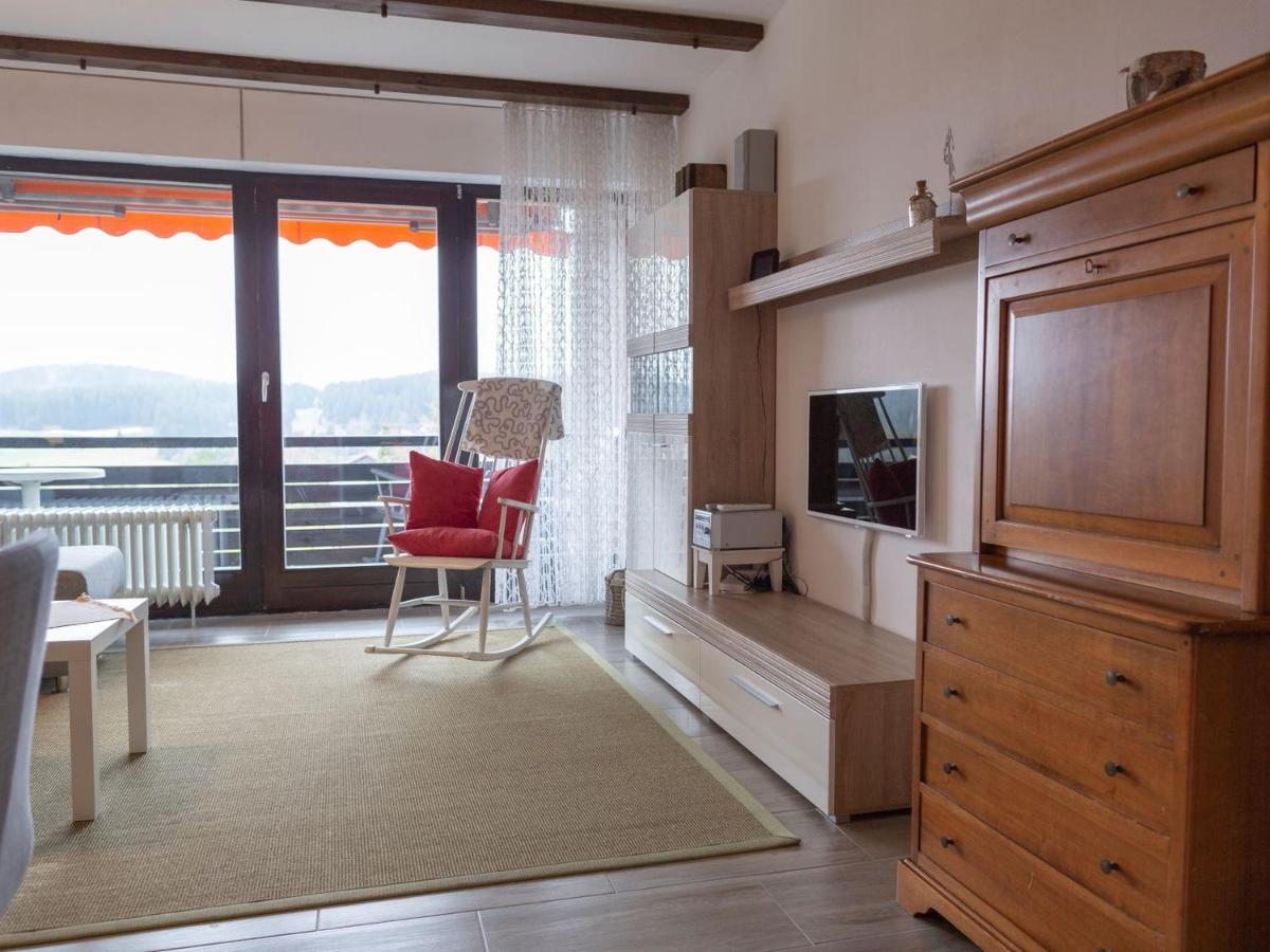 Appartmentvermietung Terrassenpark Schonach Schonach im Schwarzwald Bagian luar foto
