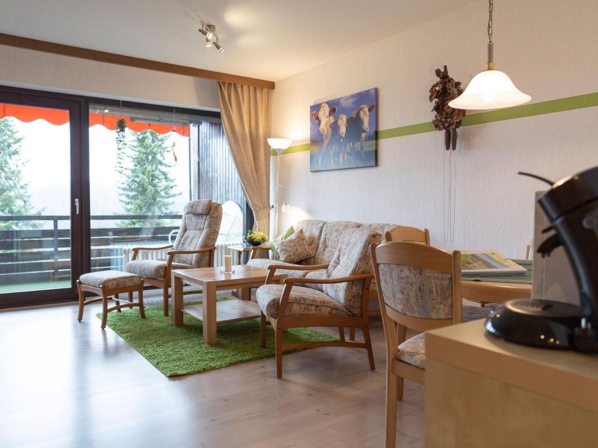 Appartmentvermietung Terrassenpark Schonach Schonach im Schwarzwald Bagian luar foto